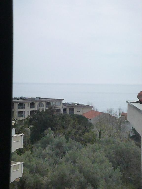 Apartman Ozi Petrovac Екстер'єр фото